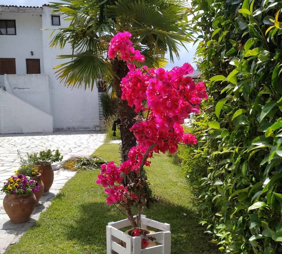 Hébergement de vacances Villa Elani House Grèce